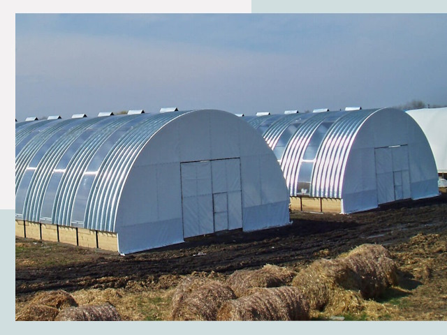 Сельскохозяйственные здания в бору