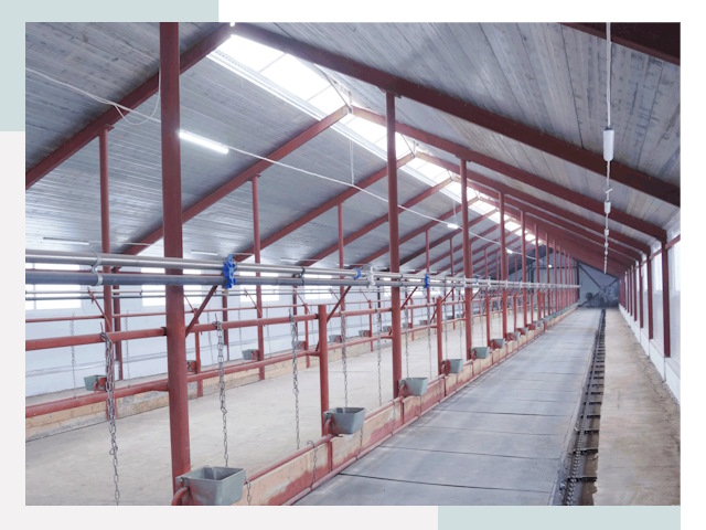 Строительство коровников в бору от 623 руб.