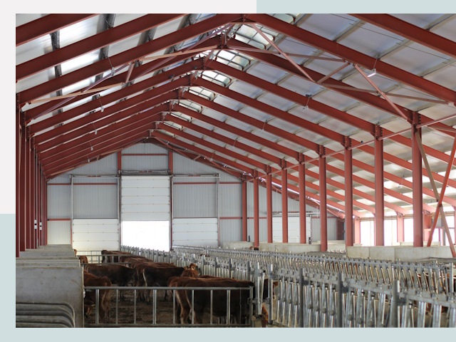 Строительство коровников в бору