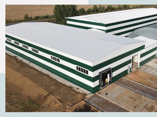 Строительство овощехранилищ в бору