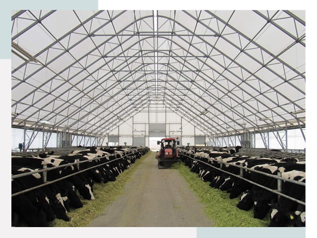 Тентовые коровники в бору от 623 руб. - Надежно и доступно